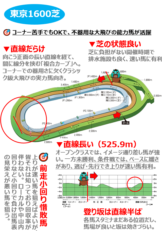 東京芝1600ｍのコースの本質と狙い方は？ 選ぶべきはコーナーが苦手な大跳びの実力馬